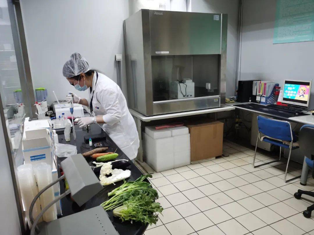 温县食品检测实验室装修方案